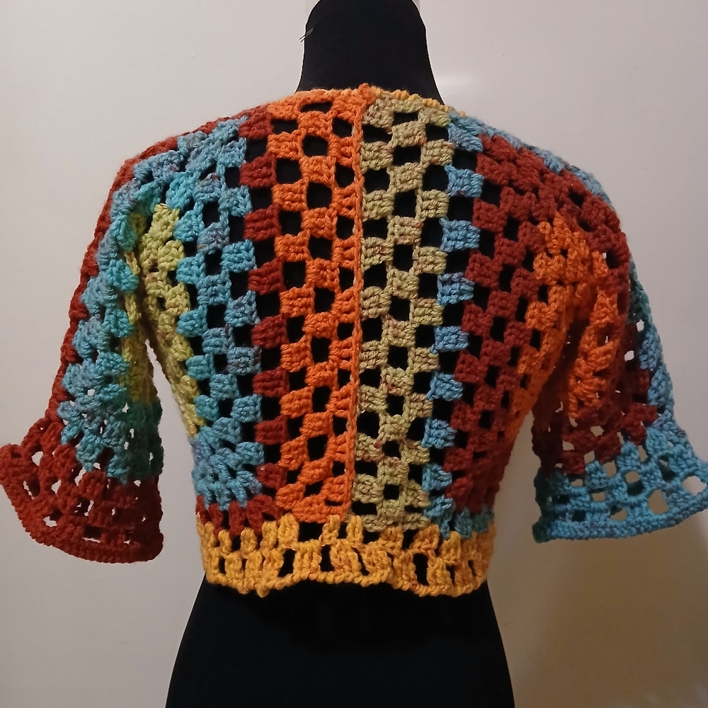 Multicolor Crochet Shrug - Picture 4 of 6